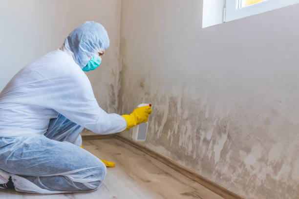 Licensed Mold Inspection service in Leesburg, GA - WQB Mold Removal