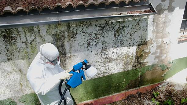 Top rated local Mold Inspection specialists in Leesburg, GA